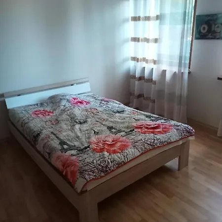 Gumience * Szczecin